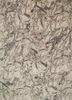 free verse by kavi beige and brown wool and silk hand knotted Rug - HeadShot