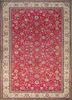 aalam red and orange wool hand knotted Rug - HeadShot