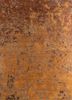 pansy red and orange wool hand knotted Rug - HeadShot