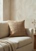 gulmarg beige and brown silk cushion coverHome Textile - Rander gulmarg beige and brown silk cushion coverHome Textile - Rander