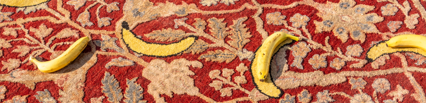 richard-hutten-banner