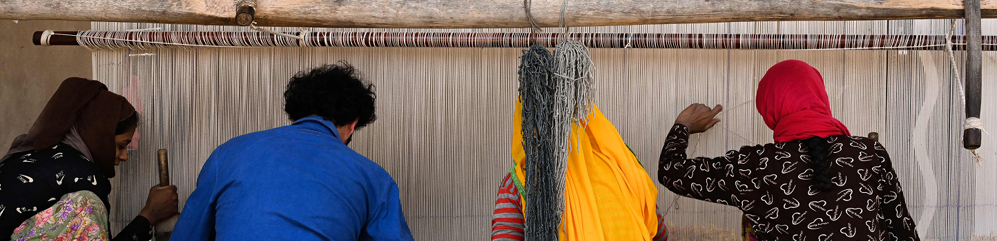 peter-dascoli-banner2