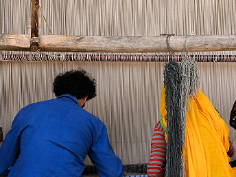 peter-dascoli-banner-mob2