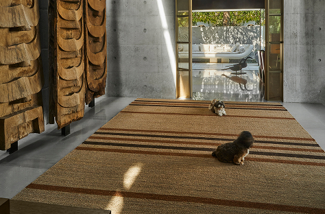 residential shantiniketan ashiesh shah