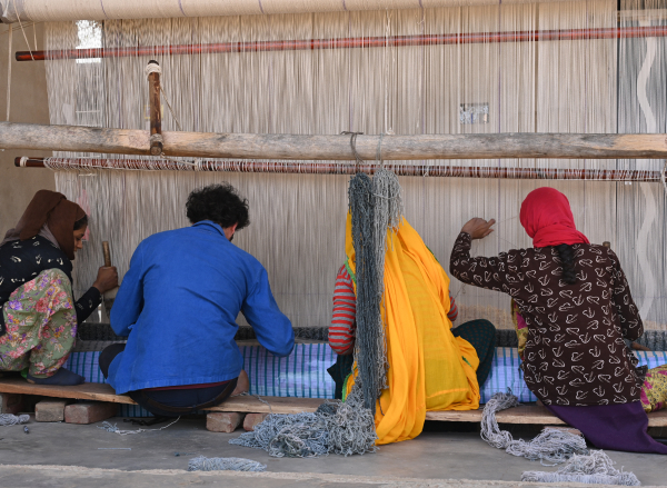 lorenzo-collection-list-img