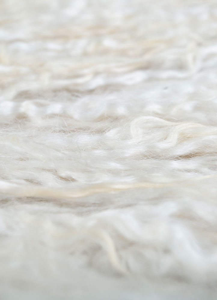 zuri ivory wool hand knotted Rug - CloseUp