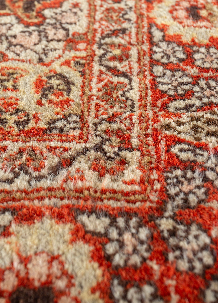 aalam red and orange wool hand knotted Rug - CloseUp