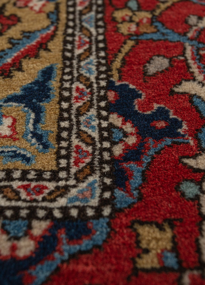 aalam ivory wool hand knotted Rug - CloseUp