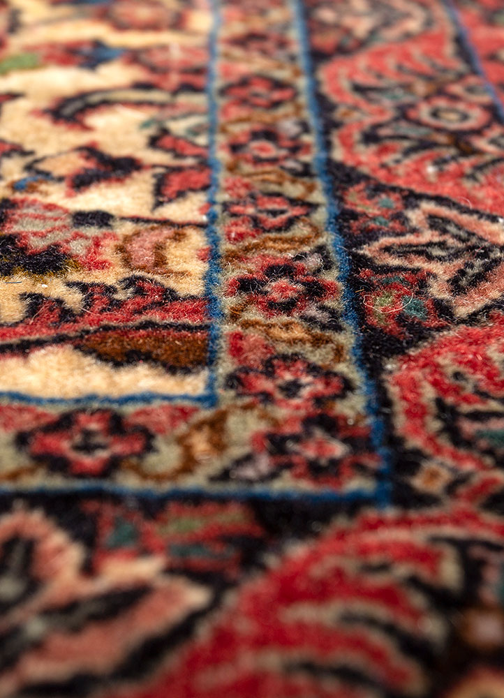 aalam ivory wool hand knotted Rug - CloseUp
