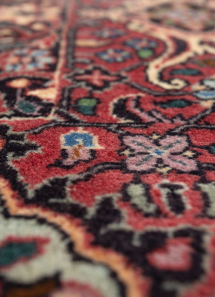 aalam ivory wool hand knotted Rug - CloseUp