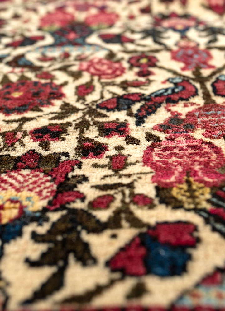 aalam ivory wool hand knotted Rug - CloseUp