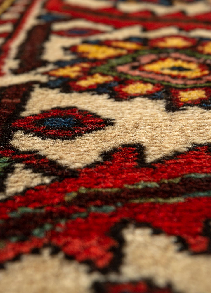 aalam red and orange wool hand knotted Rug - CloseUp
