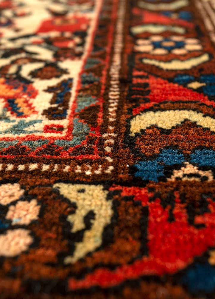 aalam ivory wool hand knotted Rug - CloseUp