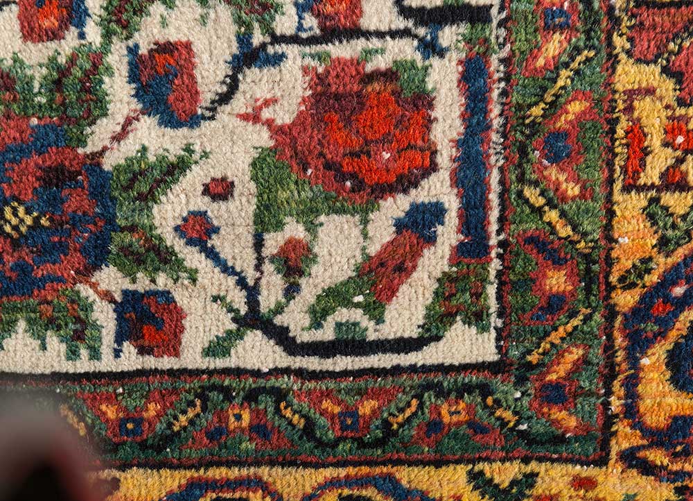aalam gold wool hand knotted Rug - CloseUp