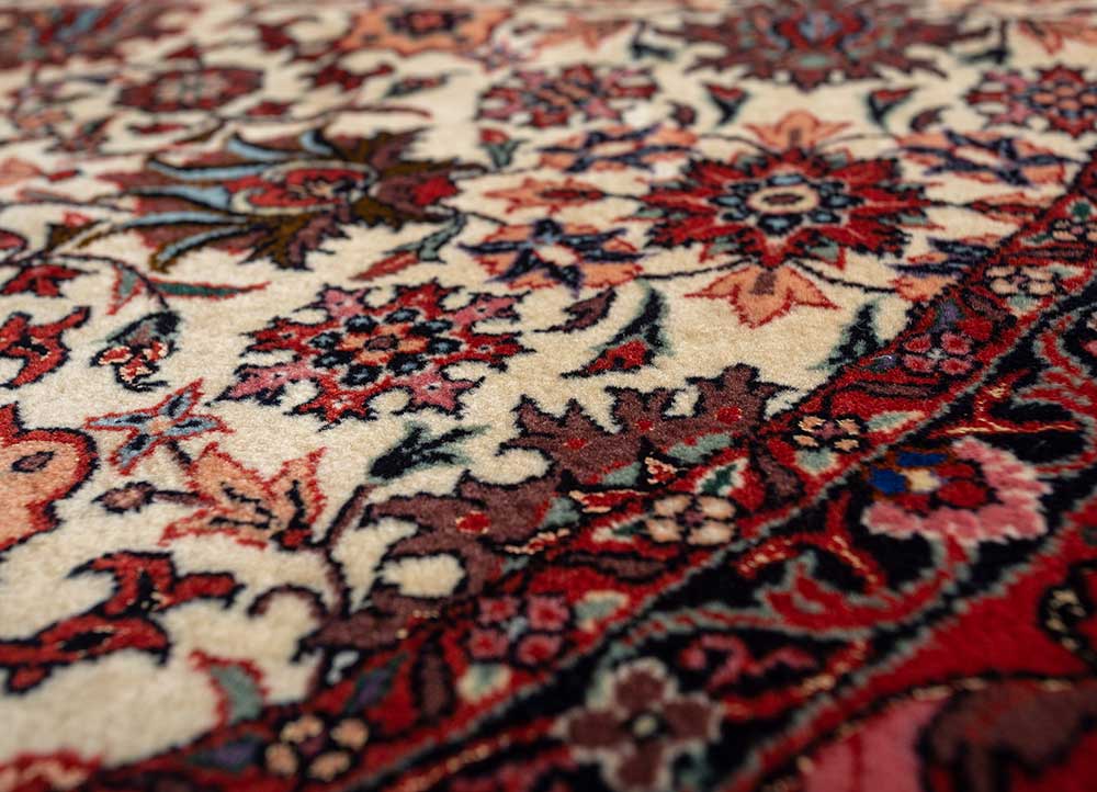 aalam ivory wool hand knotted Rug - CloseUp