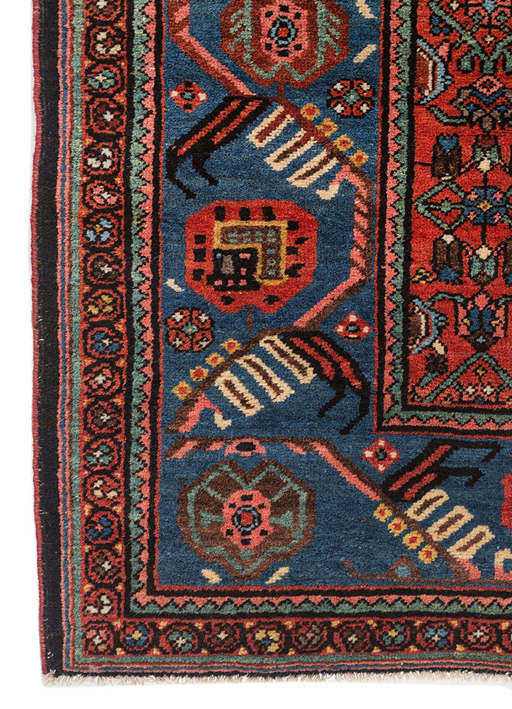kiaan red and orange wool hand knotted Rug - Corner