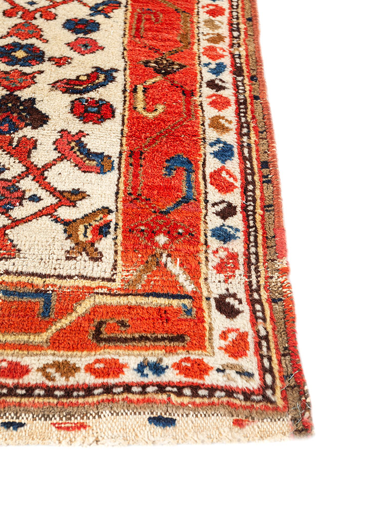 kiaan blue wool hand knotted Rug - Corner