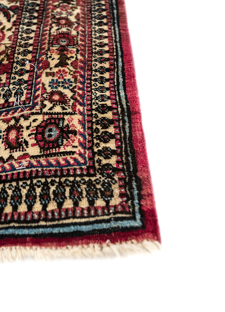 aalam ivory wool hand knotted Rug - Corner
