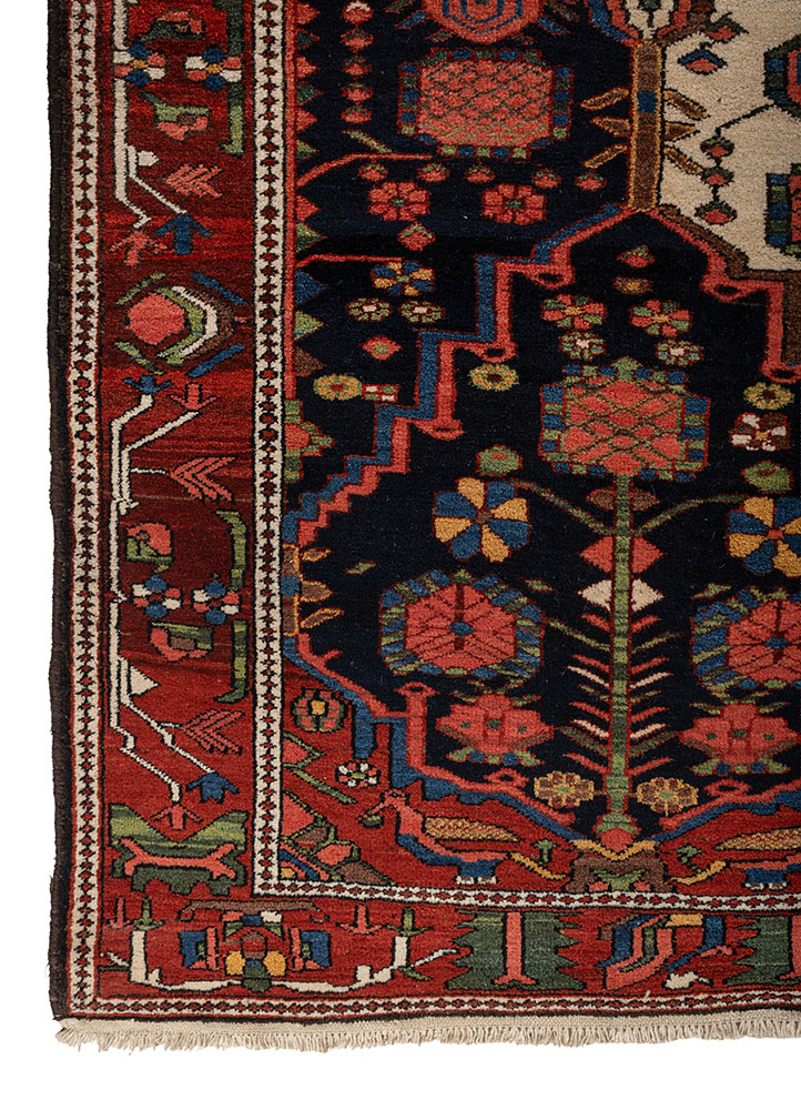 kiaan ivory wool hand knotted Rug - Corner