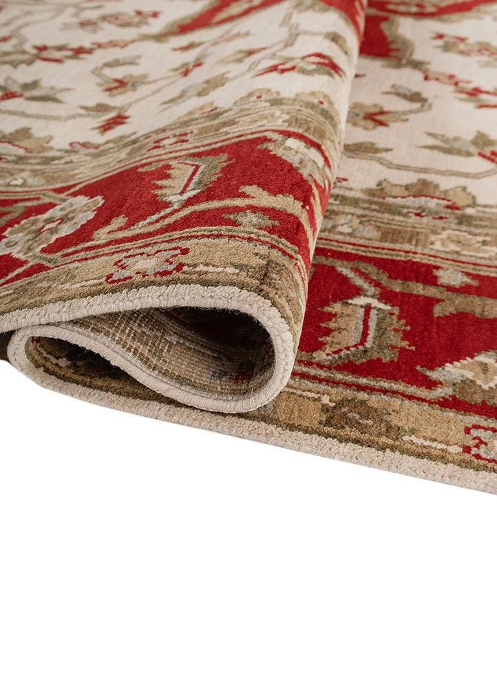 thyme ivory wool hand knotted Rug - FloorShot