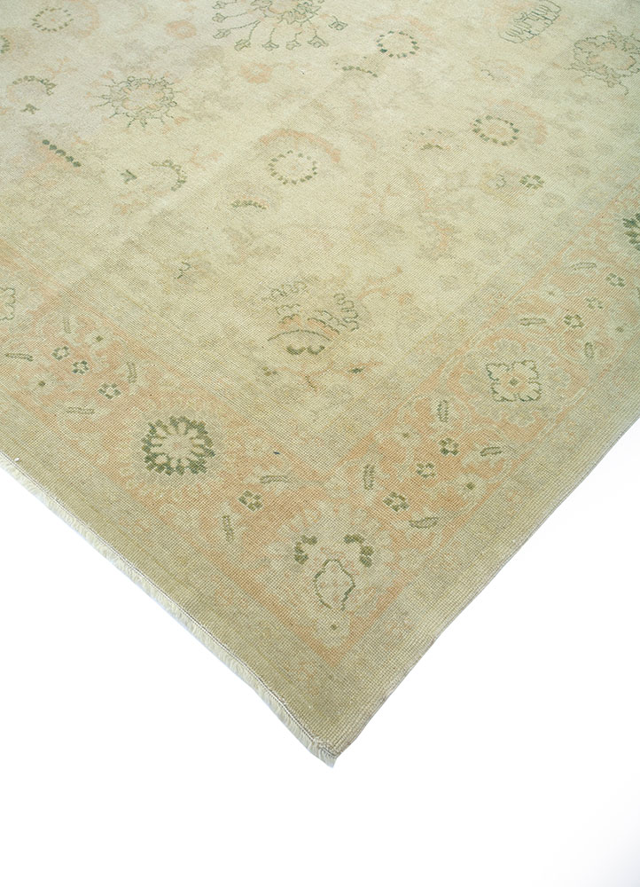aalam beige and brown wool hand knotted Rug - FloorShot