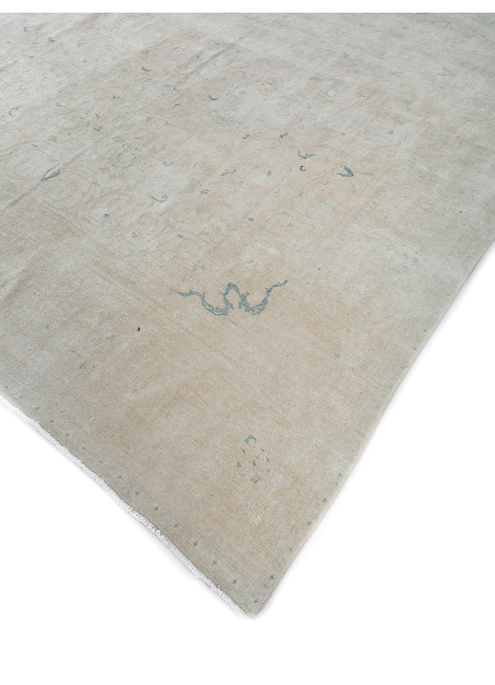 aalam ivory wool hand knotted Rug - FloorShot
