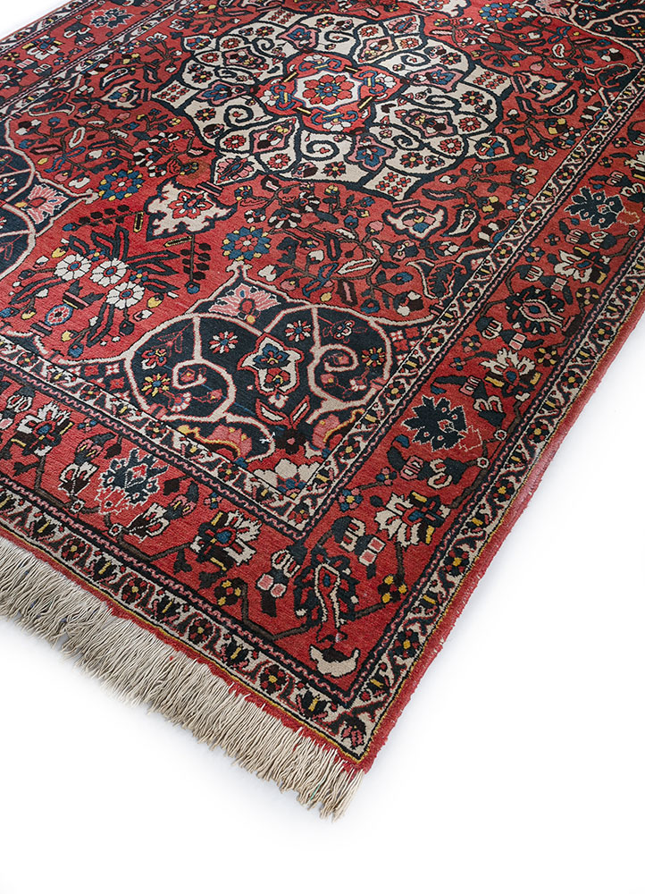 aalam red and orange wool hand knotted Rug - FloorShot