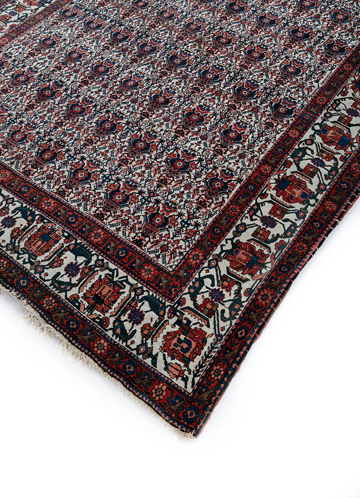 aalam beige and brown wool hand knotted Rug - FloorShot