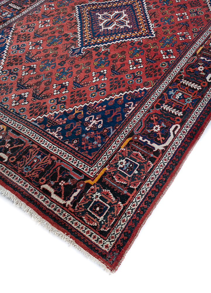 aalam red and orange wool hand knotted Rug - FloorShot