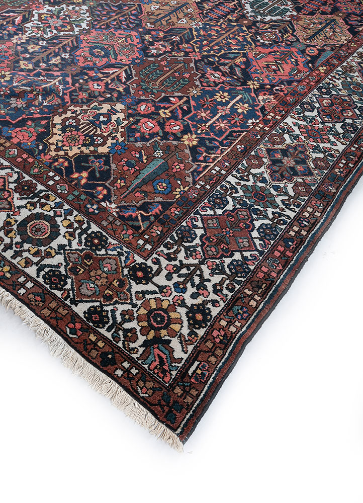 aalam multi wool hand knotted Rug - FloorShot