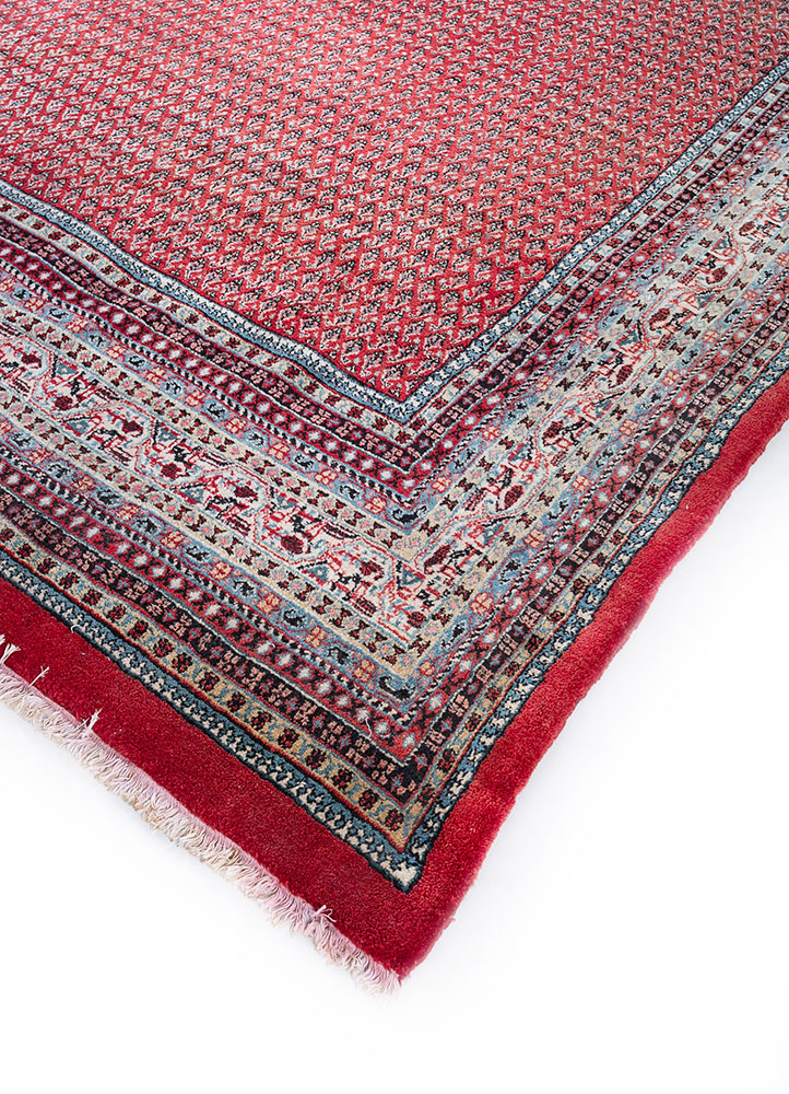 aalam red and orange wool hand knotted Rug - FloorShot