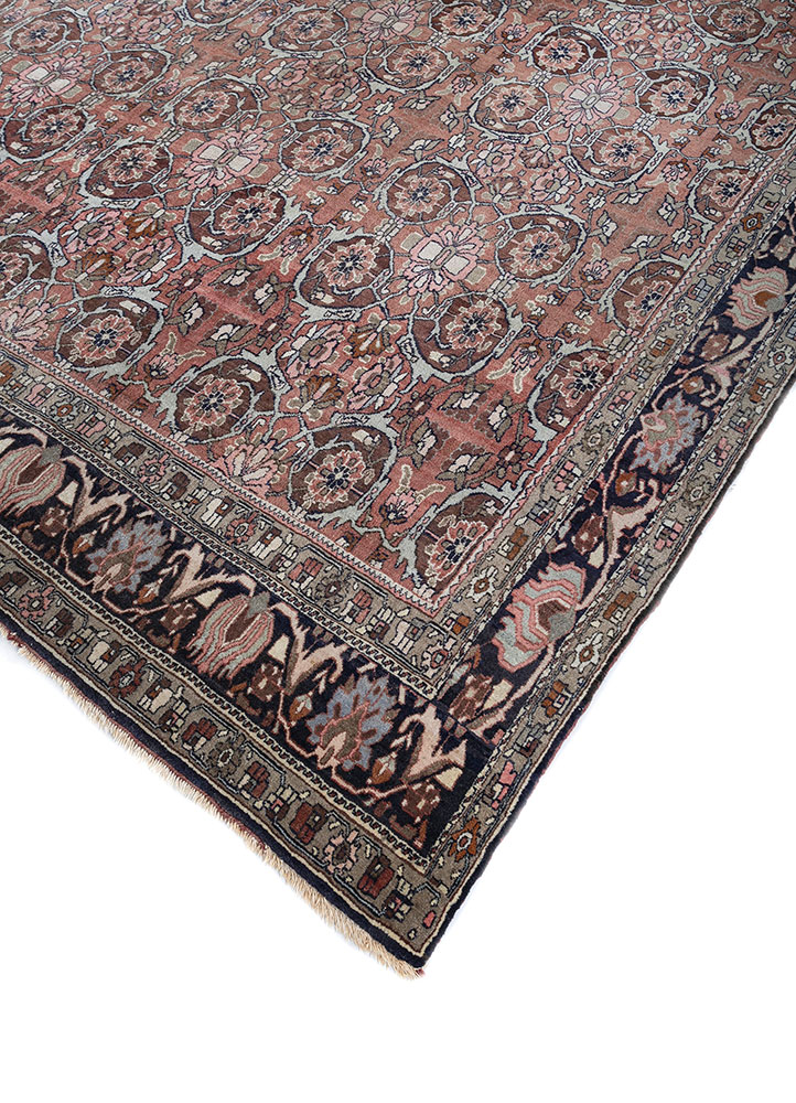 aalam beige and brown wool hand knotted Rug - FloorShot