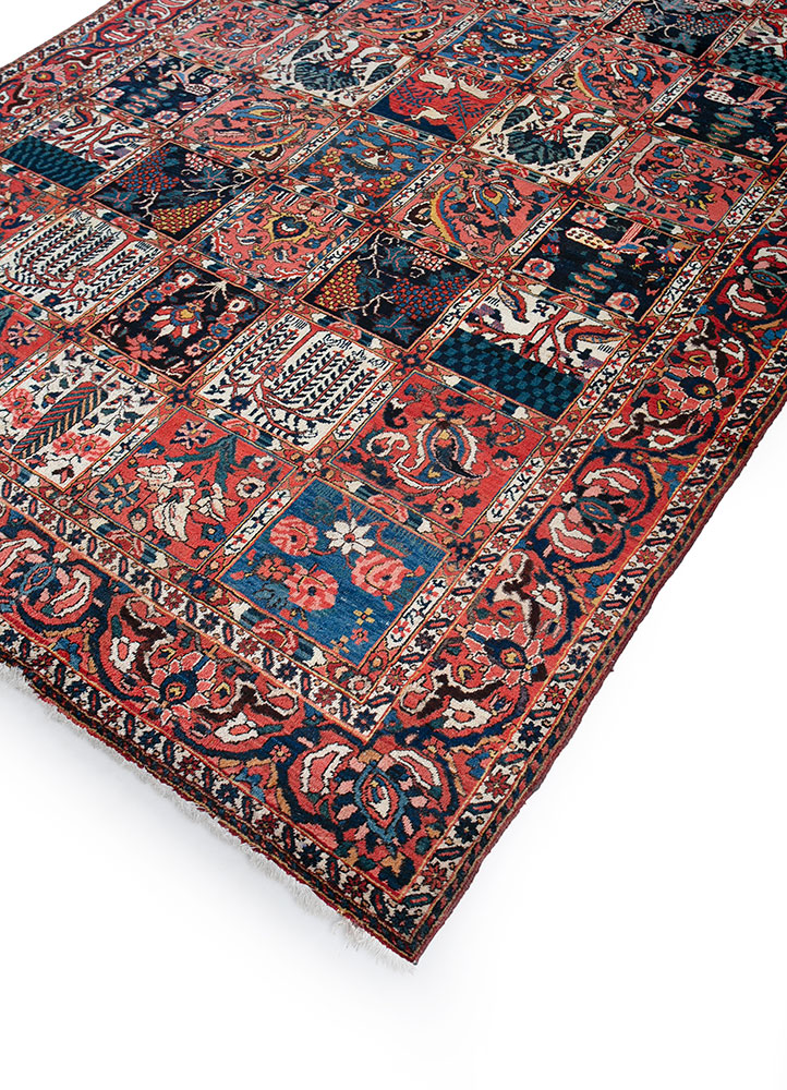 aalam red and orange wool hand knotted Rug - FloorShot