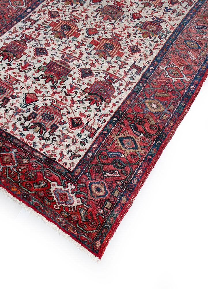 aalam red and orange wool hand knotted Rug - FloorShot