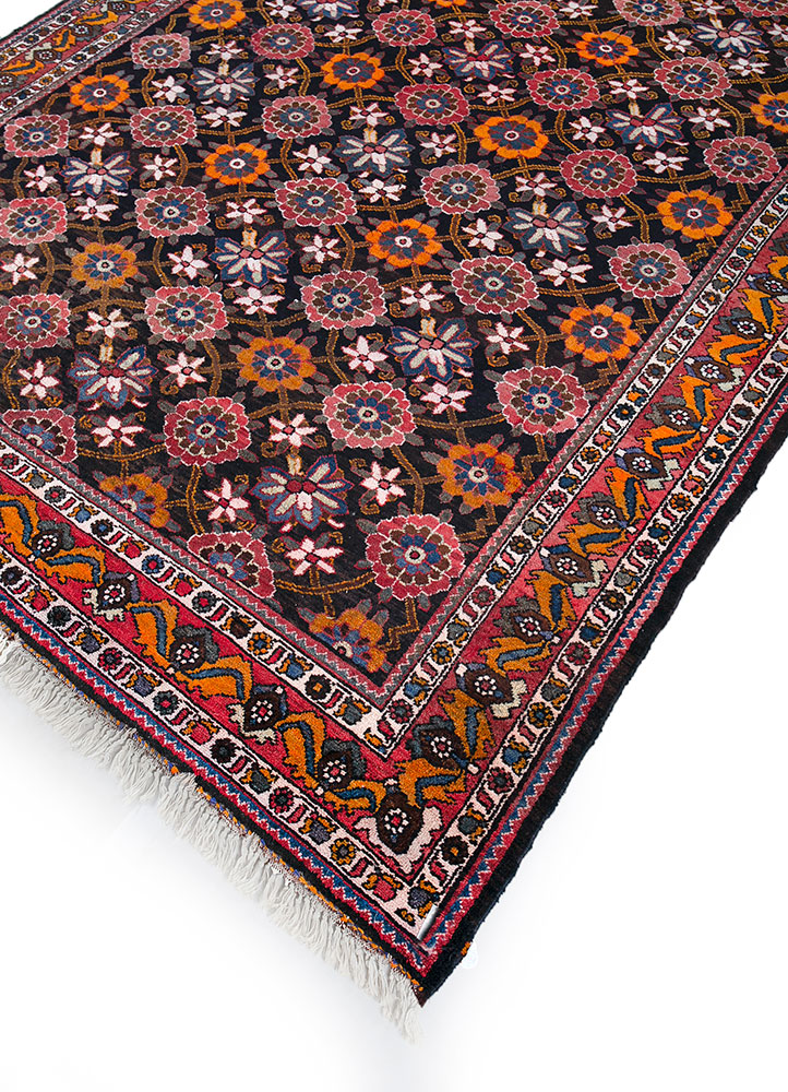 aalam beige and brown wool hand knotted Rug - FloorShot