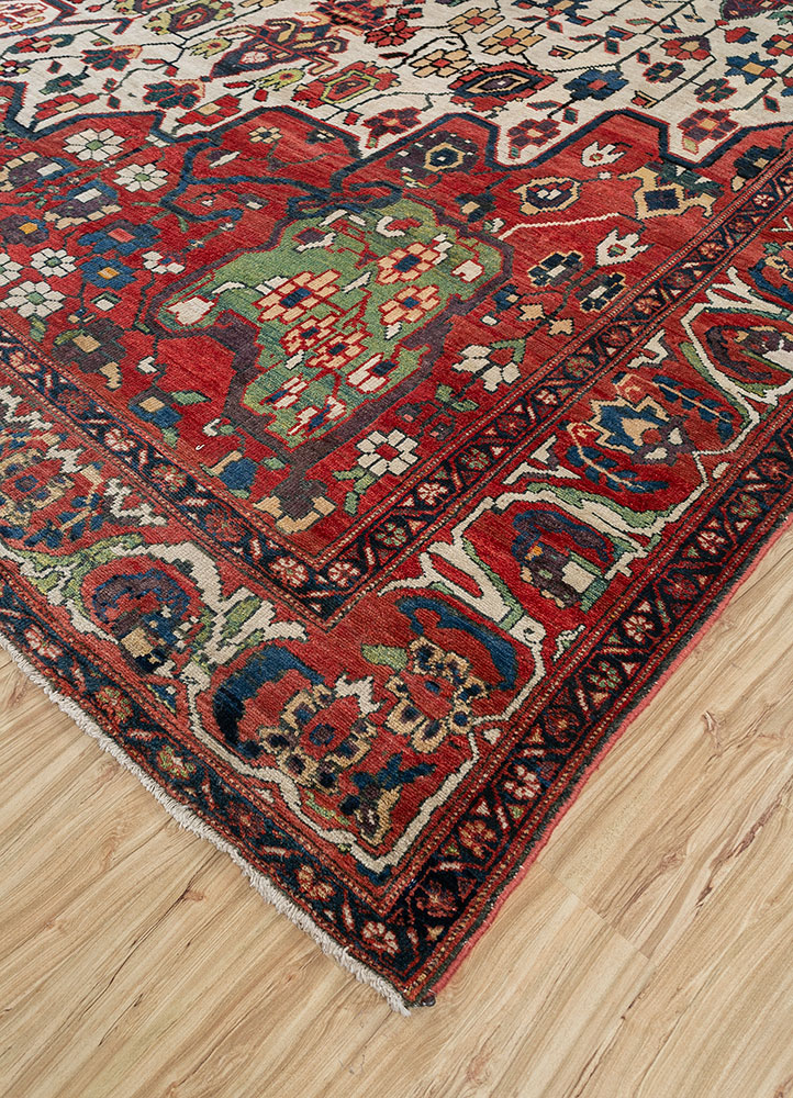 aalam red and orange wool hand knotted Rug - FloorShot