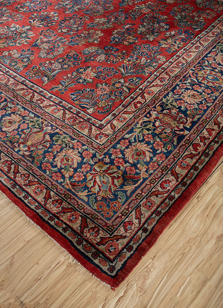 aalam red and orange wool hand knotted Rug - FloorShot