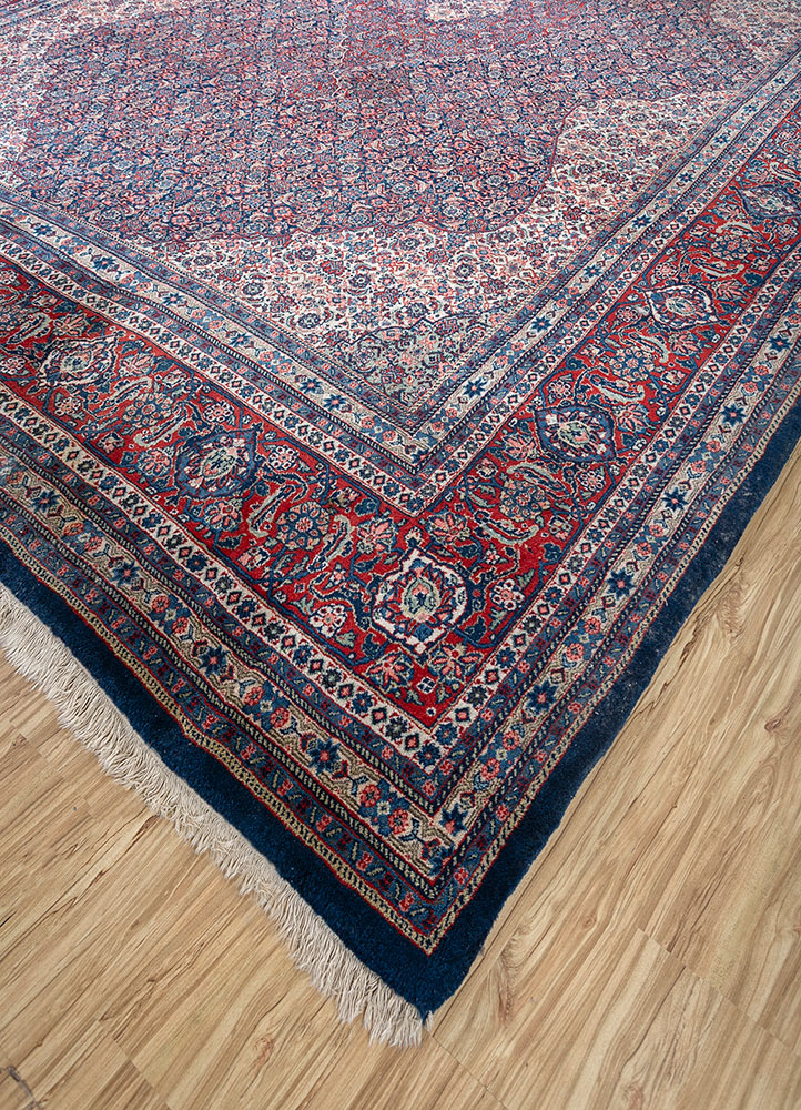 aalam red and orange wool hand knotted Rug - FloorShot