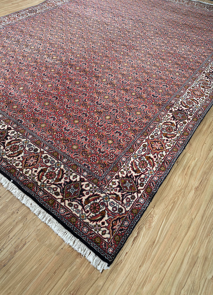 aalam red and orange wool hand knotted Rug - FloorShot
