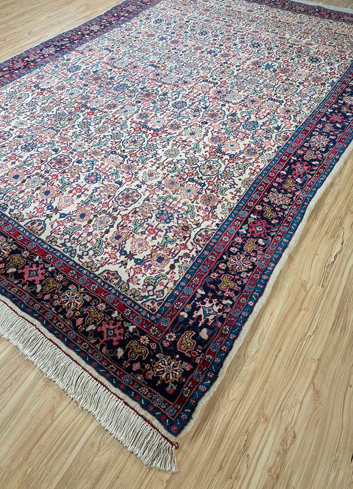 aalam ivory wool hand knotted Rug - FloorShot