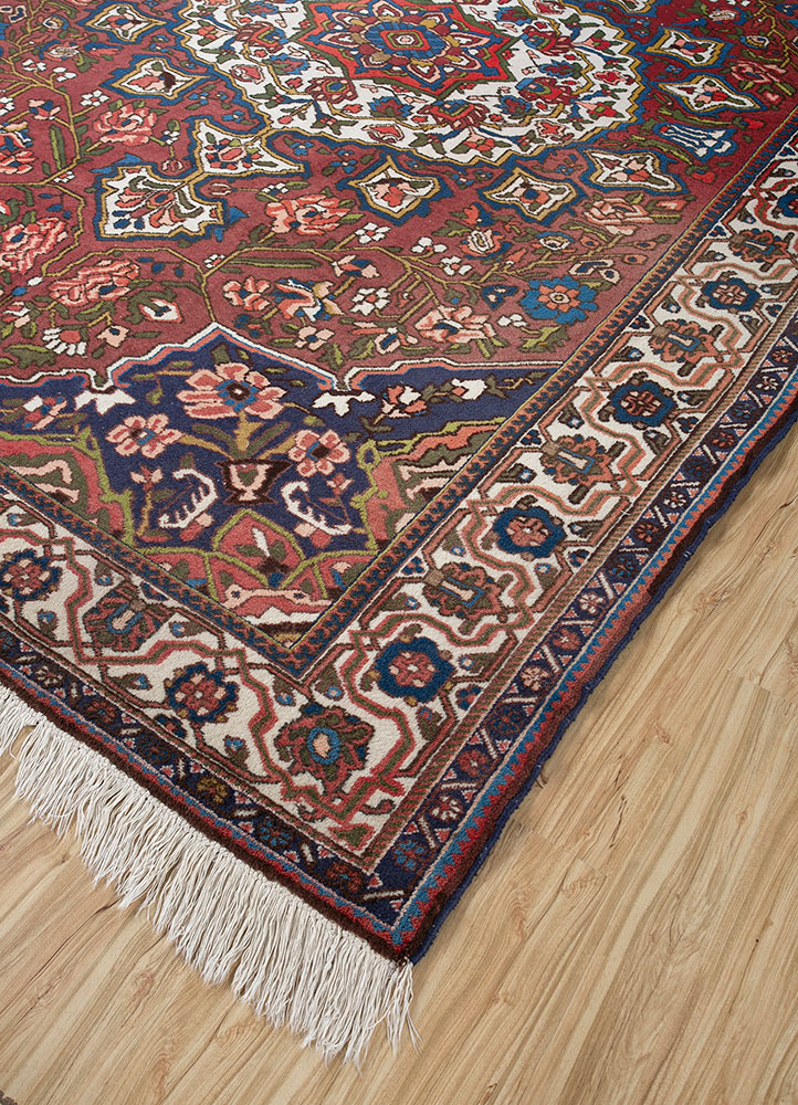aalam red and orange wool hand knotted Rug - FloorShot