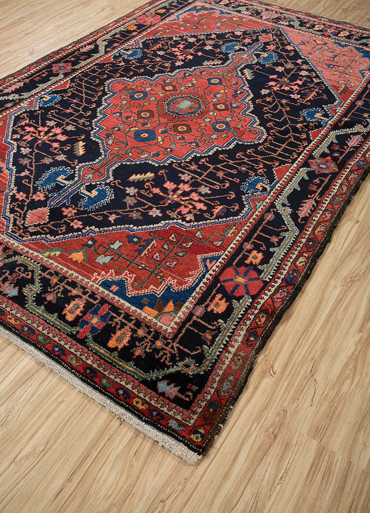 aalam red and orange wool hand knotted Rug - FloorShot