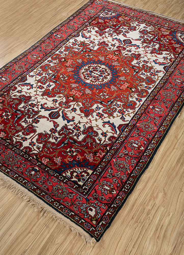 aalam ivory wool hand knotted Rug - FloorShot