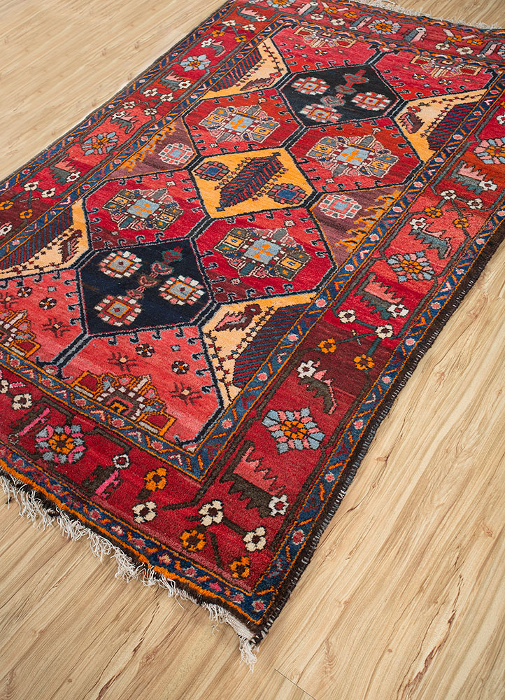 kiaan red and orange wool hand knotted Rug - FloorShot