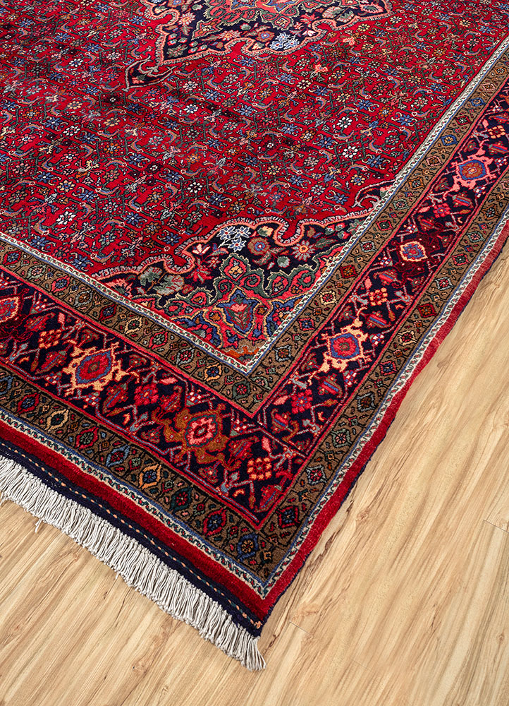 aalam red and orange wool hand knotted Rug - FloorShot