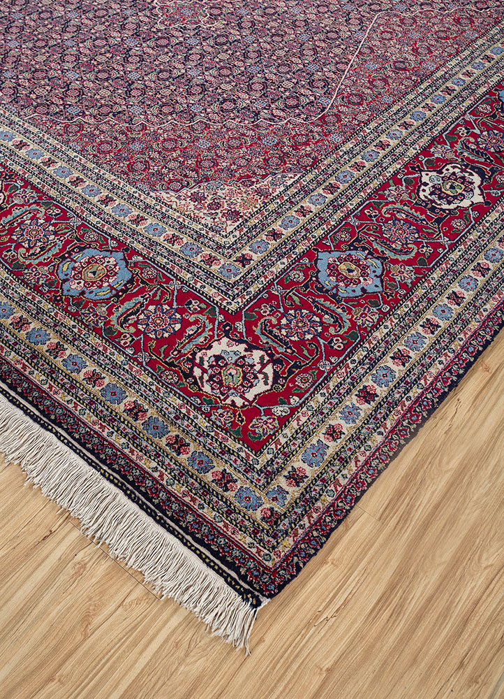aalam blue wool hand knotted Rug - FloorShot