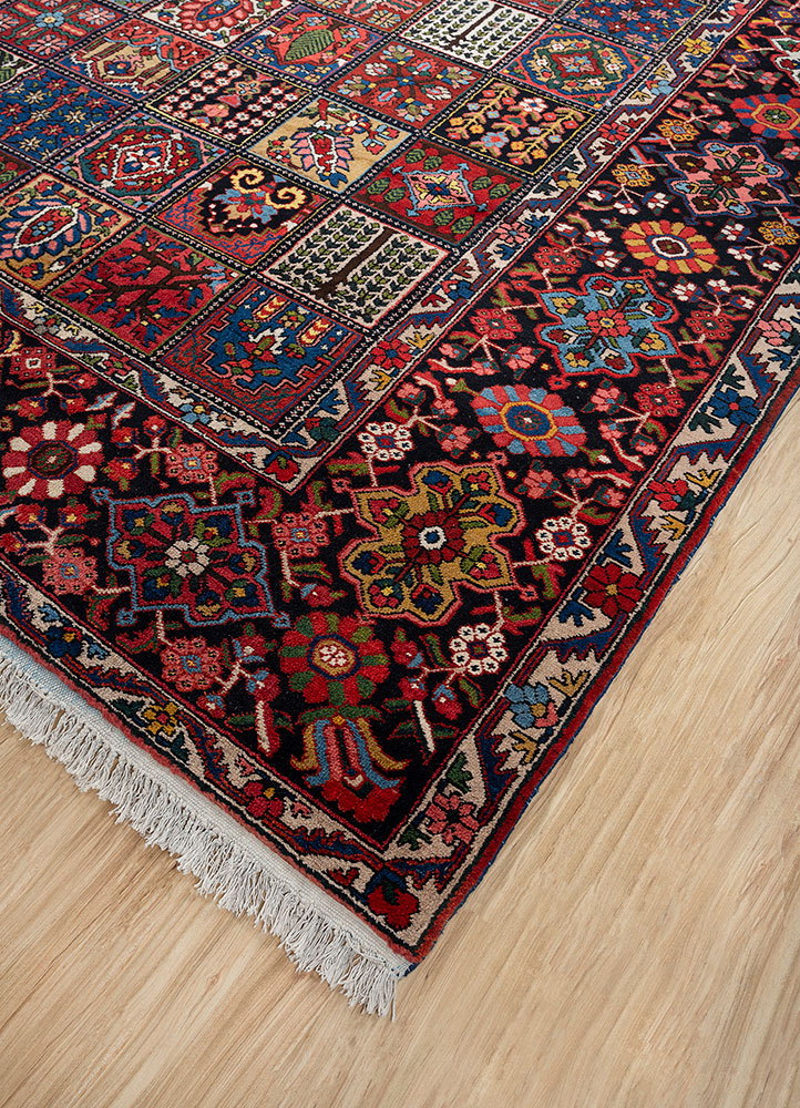 aalam red and orange wool hand knotted Rug - FloorShot