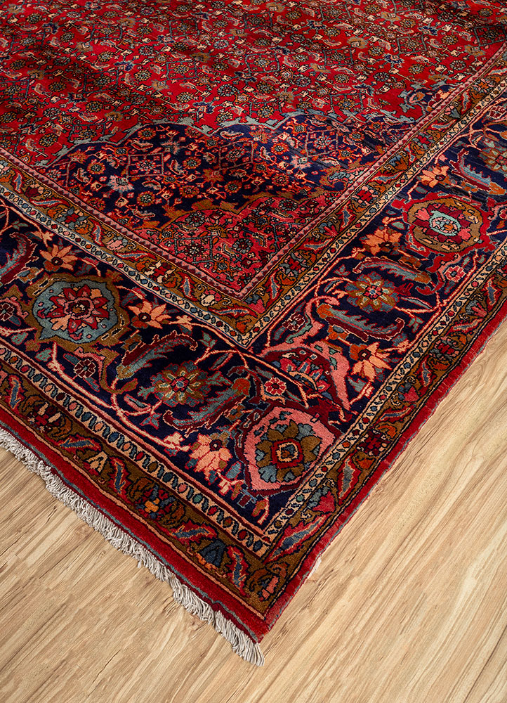 aalam red and orange wool hand knotted Rug - FloorShot