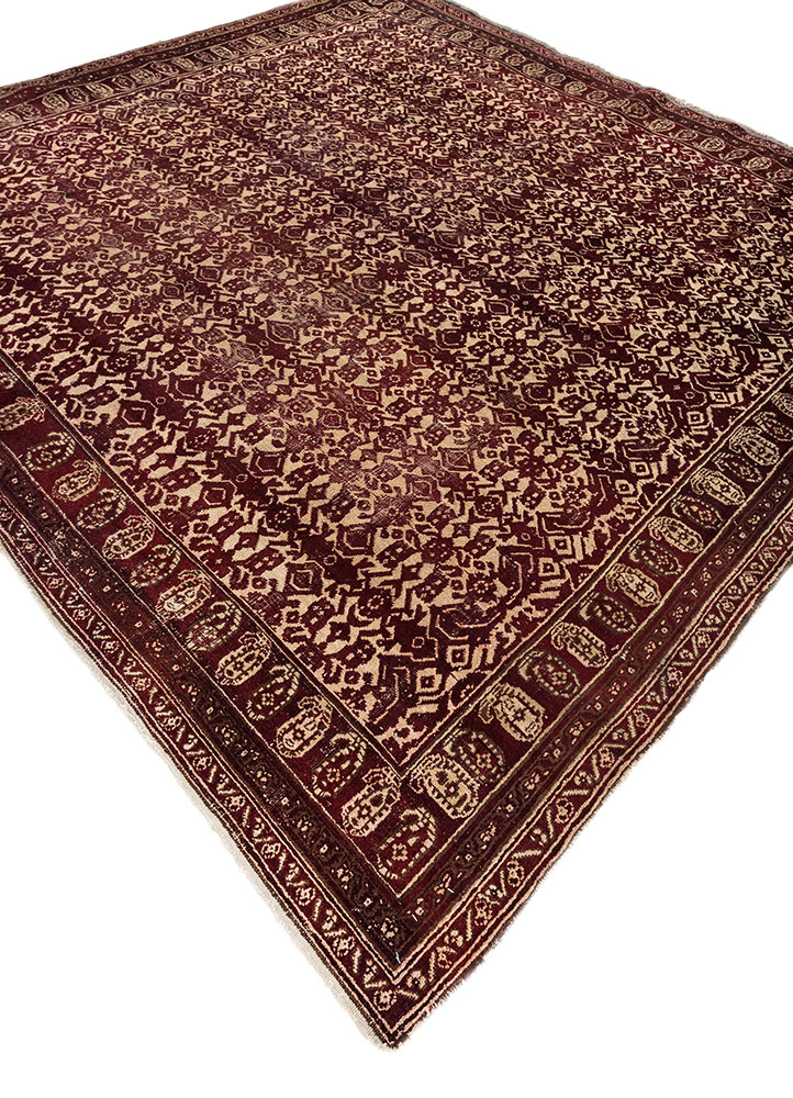 kiaan red and orange wool hand knotted Rug - FloorShot