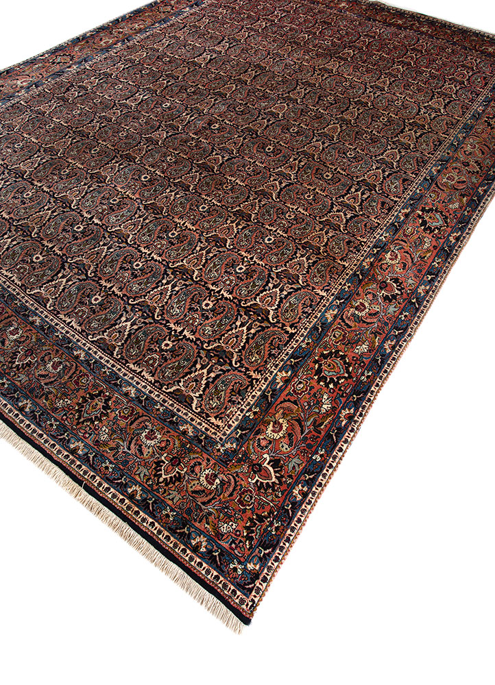 aalam red and orange wool hand knotted Rug - FloorShot